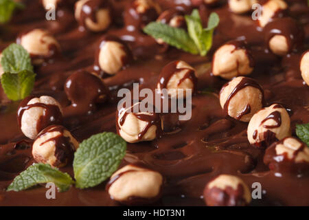 Sfondo di nocciola, cioccolato e menta macro. orizzontale Foto Stock