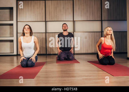 Gruppo di persone che fanno lo yoga exersice Foto Stock