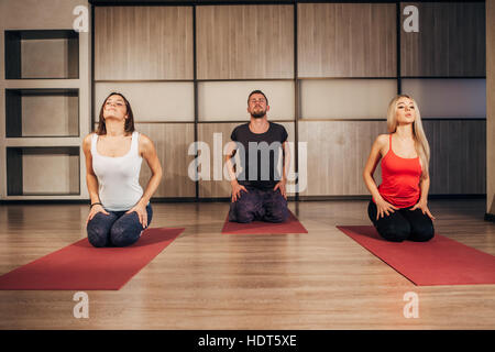 Gruppo di persone che fanno lo yoga exersice Foto Stock