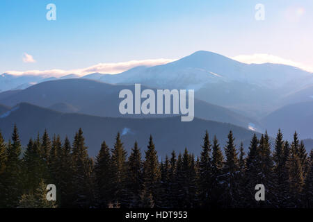 Snovy alberi sulle montagne invernali Foto Stock