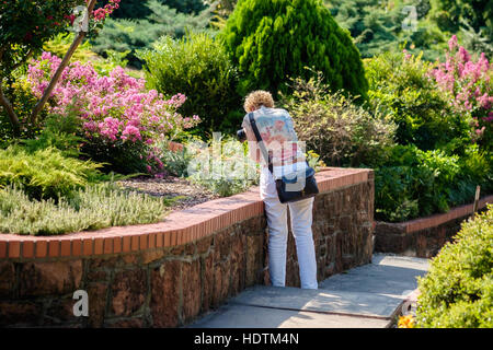 Un senior donna fotografo prende le immagini in un giardino comunale in Oklahoma City, Oklahoma, Stati Uniti d'America. Foto Stock