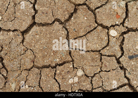 Sfondo di incrinato il terreno asciutto closeup. orizzontale Foto Stock