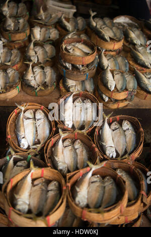 Pesce fresco al mercato thewet nella città di Bangkok il 3.11.2016 in Thailandia Foto Stock