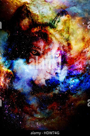 Spazio magico Wolf, multicolore alla computer grafica collage Foto Stock