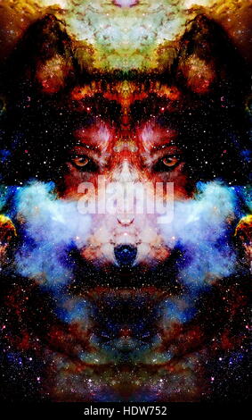 Spazio magico Wolf, multicolore alla computer grafica collage Foto Stock