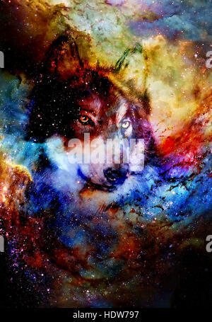 Spazio magico Wolf, multicolore alla computer grafica collage. Foto Stock