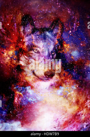 Spazio magico Wolf, multicolore alla computer grafica collage Foto Stock
