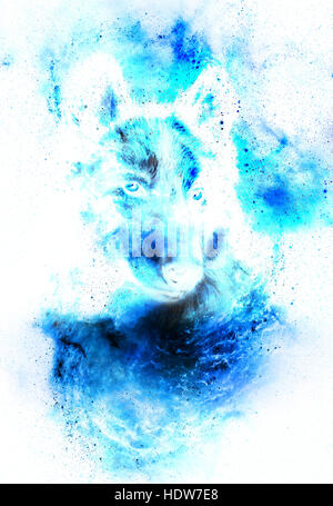 Spazio magico Wolf, multicolore alla computer grafica collage Foto Stock