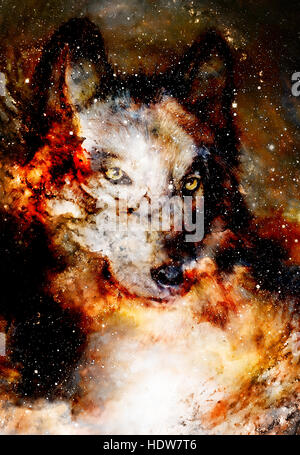 Spazio magico Wolf, multicolore alla computer grafica collage Foto Stock