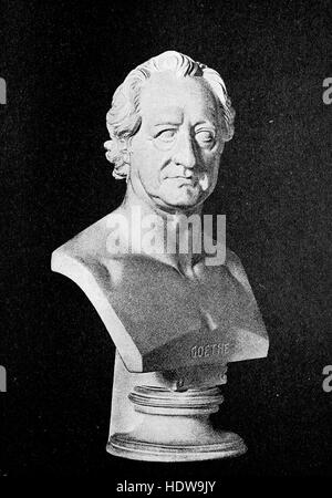 Busto di Johann Wolfgang von Goethe, Francoforte sul Meno 1749 - Weimar 1832, uno scrittore tedesco e statista, xilografia a partire dall'anno 1880 Foto Stock