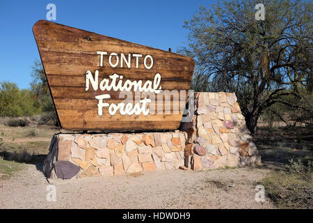 Segno sul percorso 88 in Arizona segna l'inizio della Tonto National Forest. La foresta è la più grande dell'Arizona 6 foreste nazionali. Foto Stock