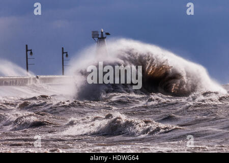 Venti forti frusta fino il Lago Erie dal tranquillo lago d'acqua dolce in un calderone di surf e onde che possono talvolta top 30' alta. Foto Stock