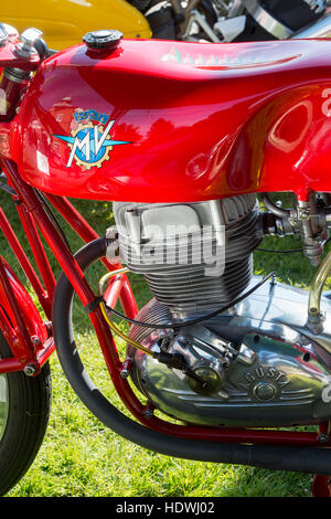 Vintage MV Agusta Moto dettaglio Foto Stock