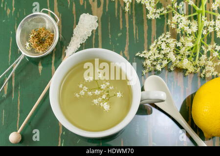 Lâ Elderflower tè in una tazza bianca e fiori di sambuco Foto Stock