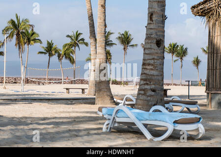 Prendisole tra palme alla spiaggia tropicale oman salalah souly bay Foto Stock