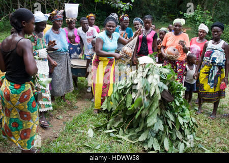 La gente di Mende danza con la maschera gbeni nella foresta pluviale di Gola Foto Stock