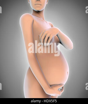 Donna incinta illustrazione Foto Stock