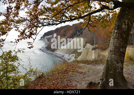 Ernst-Moritz-Arndt-Sicht, Kreidefelsen, Jasmund, Ruegen, Meclenburgo-Pomerania Occidentale, Germania Foto Stock