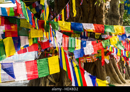 Molti colorati bandiere di preghiera sono avvolti attorno al bodhi tree accanto al Tempio di Mayadevi, il luogo di nascita di Siddharta Gautama, presente il buddha Foto Stock