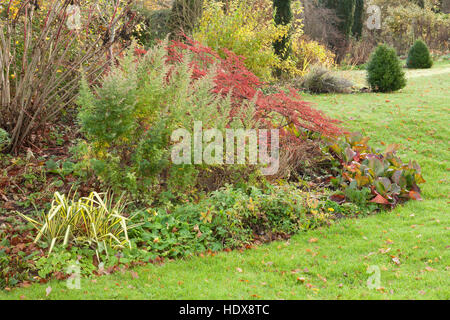 Autunno a Goltho Giardini in Lincolnshire, Regno Unito. Un 4.5 acri di giardino con l'anno di interesse. Parte del Lincolnshire Gardens regime. Foto Stock