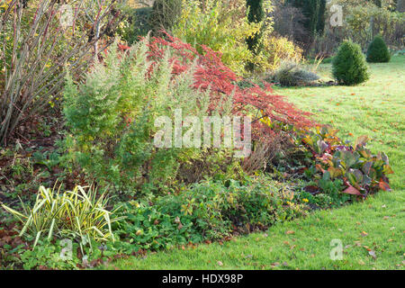 Autunno a Goltho Giardini in Lincolnshire, Regno Unito. Un 4.5 acri di giardino con l'anno di interesse. Parte del Lincolnshire Gardens regime. Foto Stock