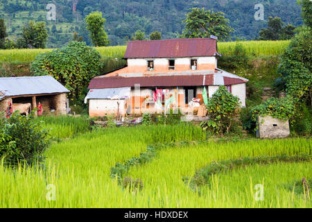 Casa locale nelle colline vicino a Pokhara, Nepal Foto Stock