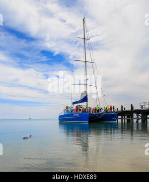 2 Aristocat fauna catamarano ormeggiato a Monkey Mia con un delfino in primo piano. Monkey Mia, Australia occidentale Foto Stock