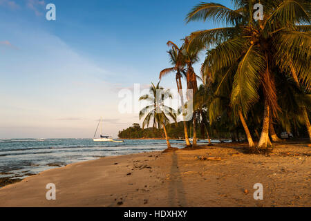 Vista di una spiaggia con palme e barche in Puerto Viejo de Talamanca, Costa Rica, America Centrale Foto Stock