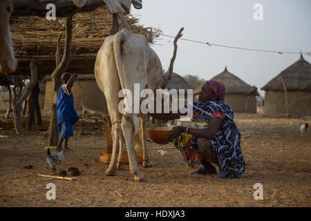 La vita rurale in un villaggio Fulani del Sahel nel nordest del Burkina Faso Foto Stock