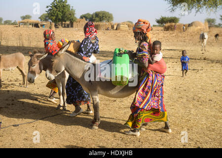 Fulani donne acqua raccolta da un foro nel Sahel, Burkina Faso Foto Stock