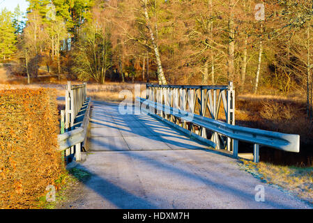 Stretto e gelido ponte stradale su un piccolo fiume con la foresta in background. Foto Stock