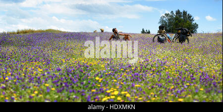 Escursioni in bicicletta nel Medio Atlante, Marocco Foto Stock