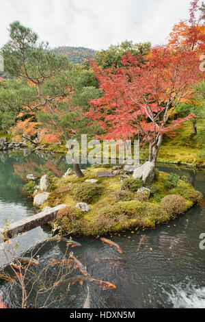 Foglie di autunno a colori nel giardino Sogen a Tenryu-ji, Kyoto, Giappone Foto Stock