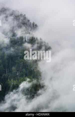 La nebbia nel Parco Nazionale Hohe Tauern Foto Stock