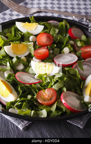 Insalata con le uova e verdure a molla vicino sul piano verticale. Foto Stock