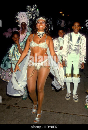 RIO DE JANEIRO partecipanti al carnevale di Rio 1994 Foto Stock