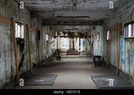 All'interno della vecchia abbandonata fabbrica di aringhe, Islanda Foto Stock