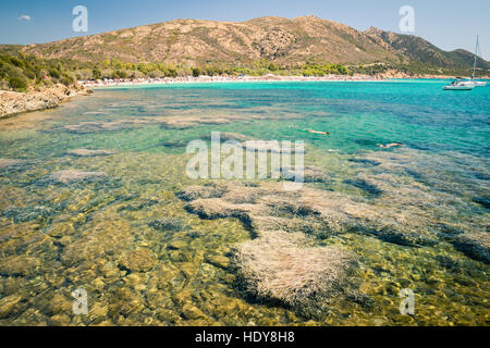 Tuerredda è considerata una delle più belle spiagge della Sardegna per la sua sabbia bianca e il colore chiaro del mare. Foto Stock