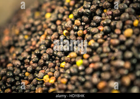 Sfondo formato da olive in una fattoria. Foto Stock