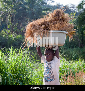 Ragazzo africano che trasportano il riso sulla sua testa Foto Stock