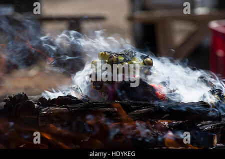 Un ardente mesa, offrendo alla Pachamama, madre terra divinità. Le ceneri saranno successivamente interrato per la divinità Foto Stock