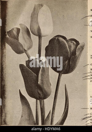 Questo listino prezzi all'ingrosso di Henry A. Dreer fornisce un catalogo completo di beni e servizi offerti dall'azienda, che copre una gamma di prodotti agricoli e orticoli. Foto Stock