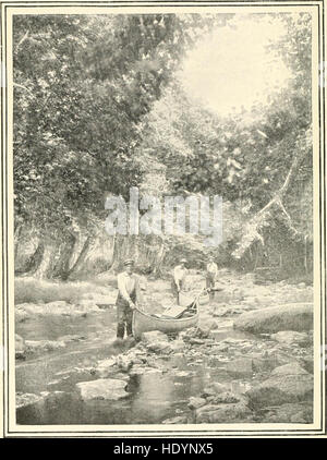 In pino giungle - un manuale per gli sportivi e per i campeggiatori nel grande Maine Woods (1902) Foto Stock