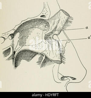 La American enciclopedia e dizionario di Oftalmologia a cura di Casey A. Legno, assistito da un grande staff di collaboratori (1913) Foto Stock