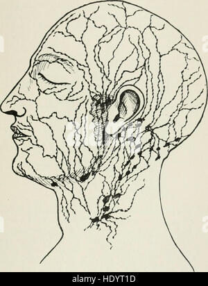 La American enciclopedia e dizionario di Oftalmologia a cura di Casey A. Legno, assistito da un grande staff di collaboratori (1913) Foto Stock