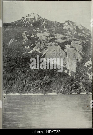 Un volume del 1906 delle transazioni della Royal Society of New Zealand, che documenta la ricerca scientifica e le scoperte in vari campi, tra cui biologia, geologia e fisica, condotte in nuova Zelanda all'inizio del XX secolo. Foto Stock