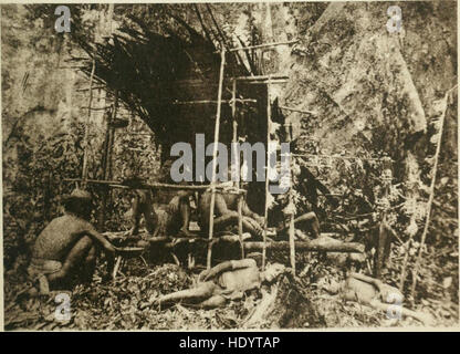 *Le tribù pagane del Borneo* (1912) forniscono un resoconto approfondito delle caratteristiche fisiche, morali e intellettuali delle tribù indigene del Borneo. Esamina anche le relazioni etniche tra i diversi gruppi e le loro pratiche culturali. Foto Stock