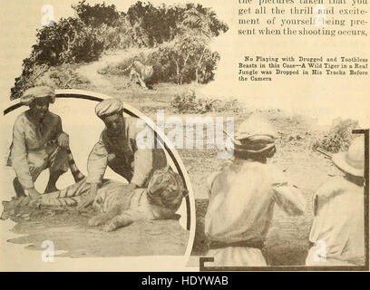 Questa pubblicazione del 1913, *Popular Electricity Magazine in Plain English*, fornisce ai lettori spiegazioni accessibili sulla tecnologia e i concetti elettrici. Mira a demistificare l'elettricità, offrendo descrizioni chiare di dispositivi, innovazioni e applicazioni pratiche per il pubblico in generale. Foto Stock