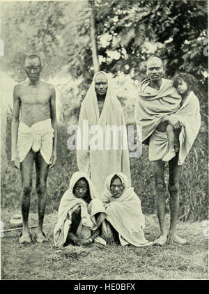 Il nord-province occidentali dell India - la loro storia, etnologia e amministrazione (1897) Foto Stock