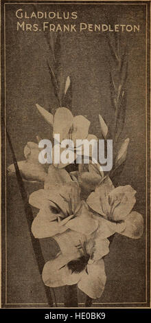 Childs' primavera 1922 - sementi che soddisfano le piante che si prega di bulbi che fioriscono le bacche che recano (1922) Foto Stock